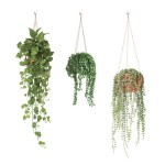 Autocollant mural suspensions de plantes