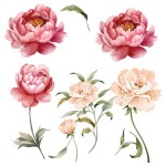 Autocollant Mural flleurs pivoines